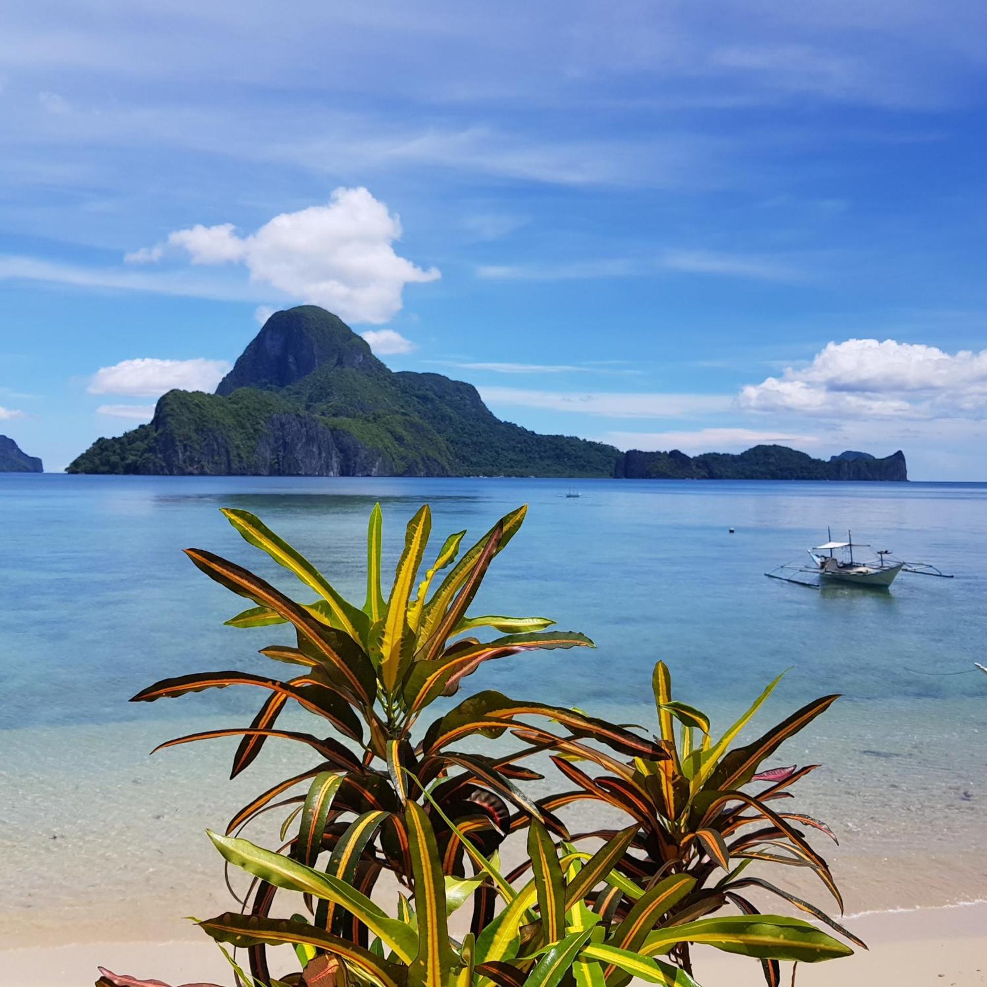 Golden Monkey Beach Hotel El Nido Eksteriør billede