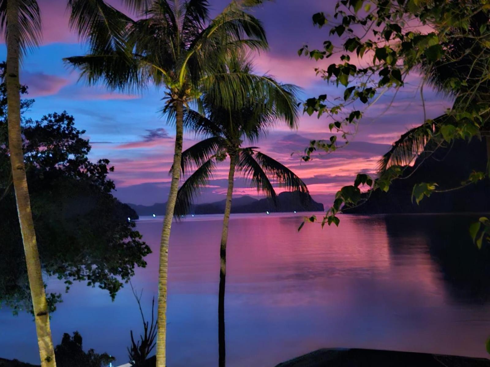 Golden Monkey Beach Hotel El Nido Eksteriør billede